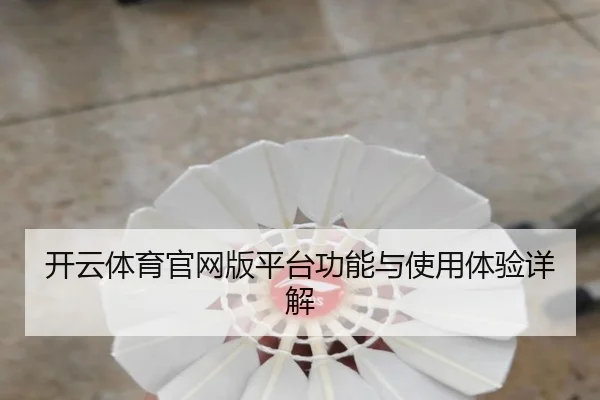 开云体育官网版平台功能与使用体验详解