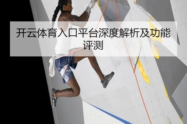 开云体育入口平台深度解析及功能评测