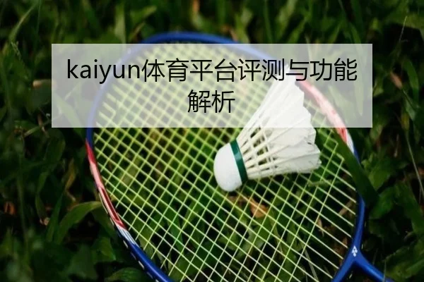 kaiyun体育平台评测与功能解析